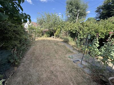 Picture 7